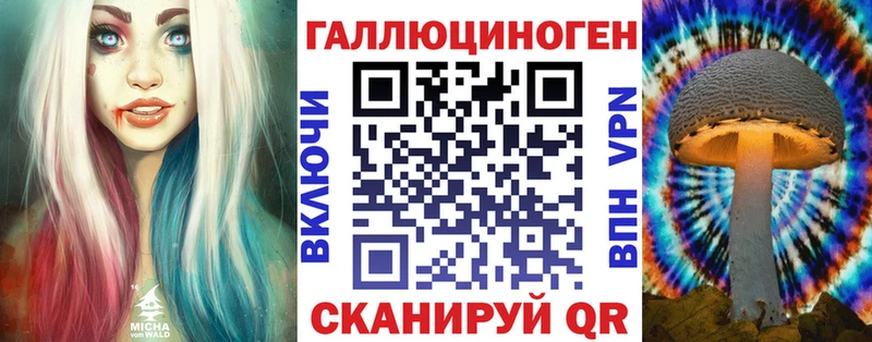 МЕГА ССЫЛКА  Майкоп  Галлюциногенные грибы Psilocybe 